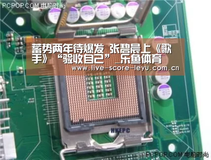蓄势两年待爆发  张碧晨上《歌手》“验收