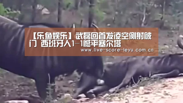 【乐鱼娱乐】武磊回首发凌空侧射破门 西班