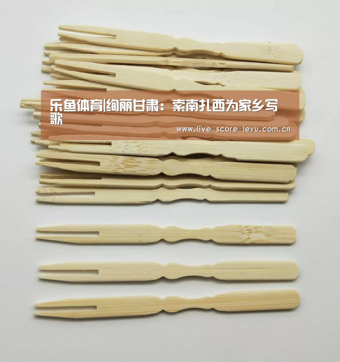 乐鱼体育|绚丽甘肃:索南扎西为家乡写歌(图4) 乐鱼娱乐